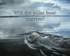 To the Arctic
