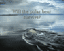 To The Arctic